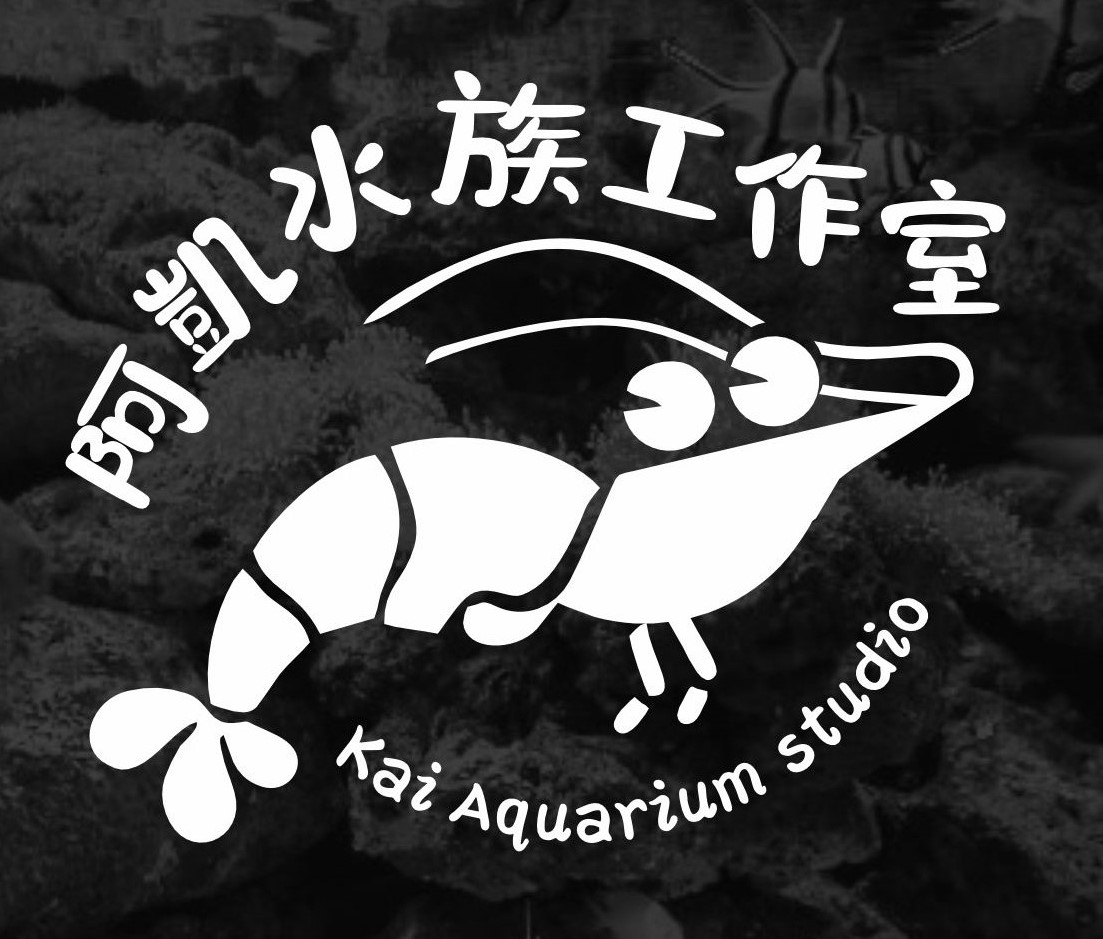 新北中和-阿凱水族工作室 Kai Auqa studio